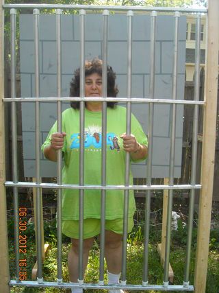 Picture of Fake Jail Cell Prop for Pictures Jail Cell Prop, Girl Theme Party, Halloween Softball, Jail Bars, Army Retirement, Police Graduation, Police Party, Easter Crafts Preschool, Theatre Ideas