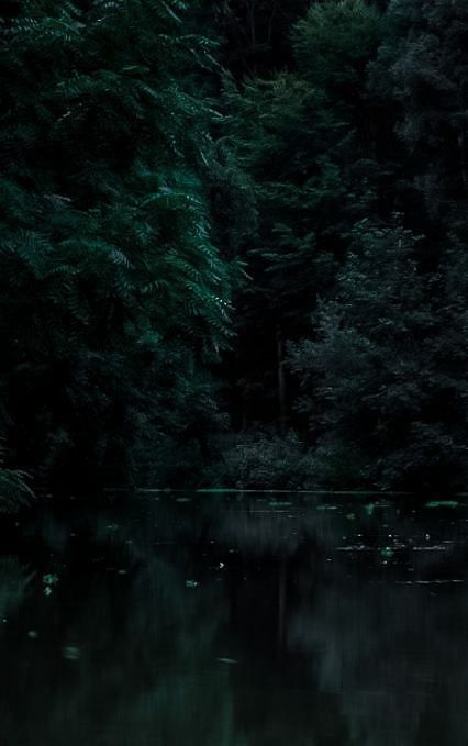 Dark Green, Trees, Water, Green