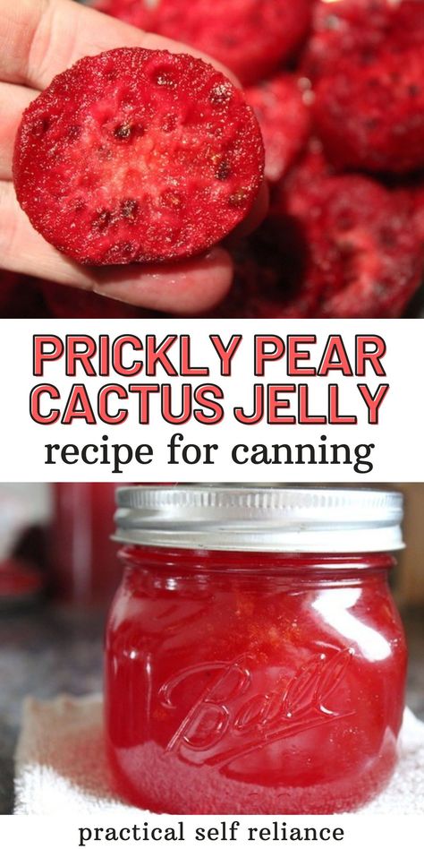 Jelly Recipes For Canning, Cactus Jelly, Pear Jelly Recipes, Prickly Pear Jelly, Prickly Pear Recipes, Fruit Jelly Recipe, Recipes For Canning, Pear Jelly, Cactus Recipe