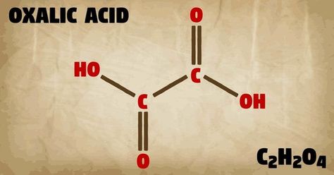 A List of 112 Foods High In Oxalates (Oxalic Acid) What Are Oxalates, Low Oxalate Breakfast, Low Oxalate Food List, High Oxalate Food List, Low Oxalate Snacks, Vegetable Serving Size, Kashi Cereal, Oxalate Diet, Low Oxalate Diet