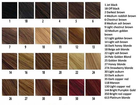 Jazzing Hair Color, Dark Chocolate Hair Color, Blonde Hair Color Chart, Brown Hair Color Chart, Hair Color Brown Chestnut, Colors Chart, Dark Chocolate Hair, Hair Color Guide, Chestnut Brown Hair