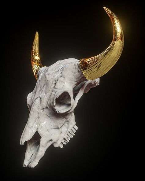 Bull Skull Art, Bulls Skull, Ox Skull, Stag Skull, Skull Wallpapers, Skull Animal, Skull Model, Skull Reference, Goat Skull