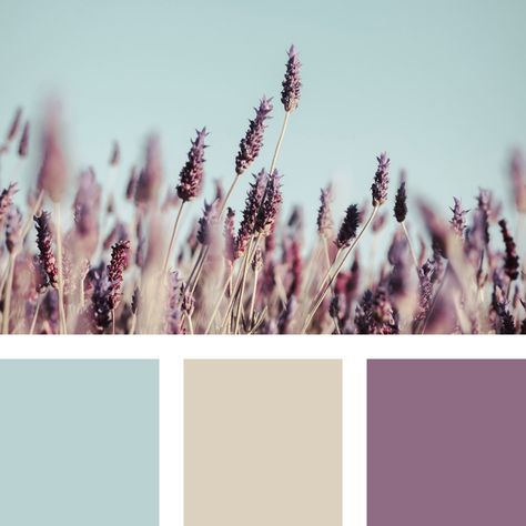 Soft purple and blue colour palette idea for nursery room Light Purple Color Palette Bedroom, Purple And Blue Boho Bedroom, Muted Color Palette Purple, Purple Nursery Color Palette, Nursery Room Color Palette, Purple Calm Aesthetic, Light Blue And Purple Room, Purple And Blue Nursery, Colour Palette With Purple