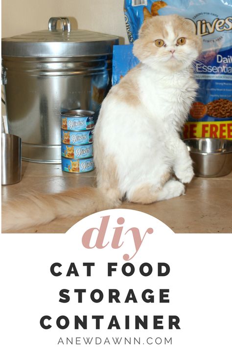 Cat Food Storage undefined - Tired of looking at open cat food bags? Make this stylish cat food storage container to hold you cat's dry food and keep it fresh. Wet Cat Food Storage, Cat Food Storage Ideas, Diy Pet Food, Pete The Cat Costume Diy, Diy Cat Food, Pete The Cat Costume, Cat Playhouse, Cat Costume Diy, Pet Costumes Cat