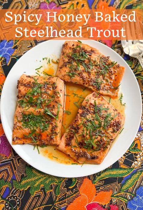 Steel Head Trout Recipe, Steelhead Trout Recipes, Trout Recipes Baked, Steel Head Trout Recipes, Baked Steelhead Trout, Steelhead Recipes, Steelhead Trout Recipe Baked, Bluegill Recipe, Steelhead Trout Recipe