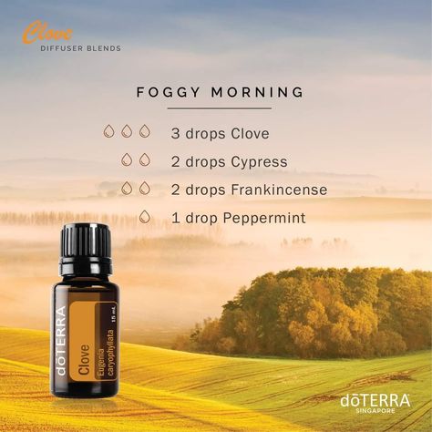 Cypress Essential Oil, Clove Essential Oil, Essential Oil Diffuser Recipes, Oil Diffuser Recipes, Clove Oil, Living Essentials Oils, Diffuser Recipes, Aroma Oil, Foggy Morning