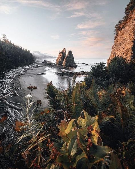 Rialto Beach Story Settings, Washington Trip, Rialto Beach, November Rain, Evergreen State, Olympic Peninsula, Olympic National Park, Bucket List Destinations, Pacific Coast