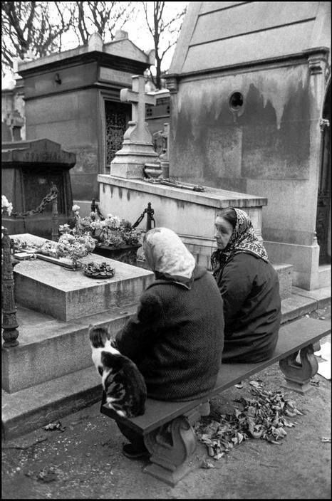 cat part of family Ian Berry, She And Her Cat, Père Lachaise Cemetery, Old Cemetery, Pere Lachaise Cemetery, Parisian Women, Old Cemeteries, Cemetery Art, Image Chat