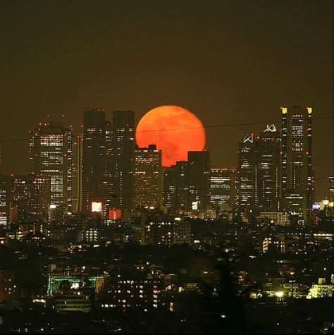 City Scape Aesthetic, Apartment View Aesthetic, Orange Moon Aesthetic, Sunset Aesthetic City, Met Gala Aesthetic, Gala Aesthetic, City Lights Aesthetic, Aesthetic Los Angeles, City Aesthetic Night