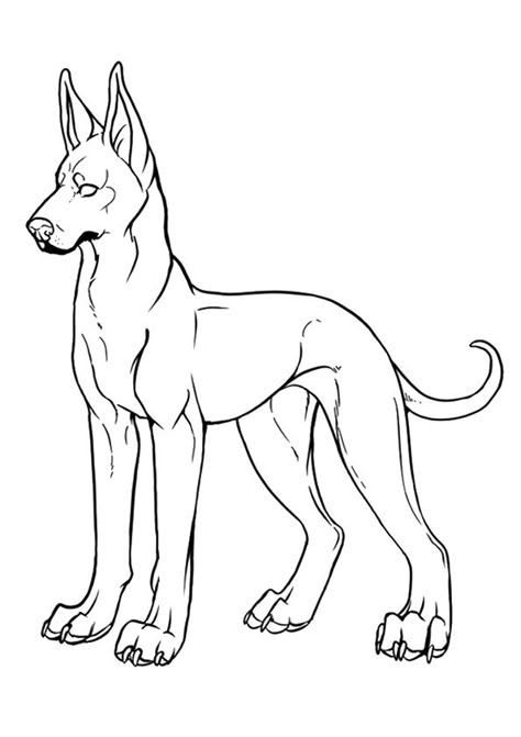 Dog Body Base Drawing, F2u Dog Base, Dog Base F2u, Dog Bases Drawing, Dog Drawing Base, Dog Base, Animal Base, Dog Draw, Doc Hudson