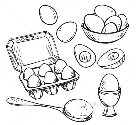 Set of Eggs Drawings Drawing Book Pdf, Whale Crafts, Recipe Drawing, Food Sketch, Drawing Book, Hand Drawn Vector Illustrations, Cartoon Drawing, Hand Drawn Vector, Drawing Set