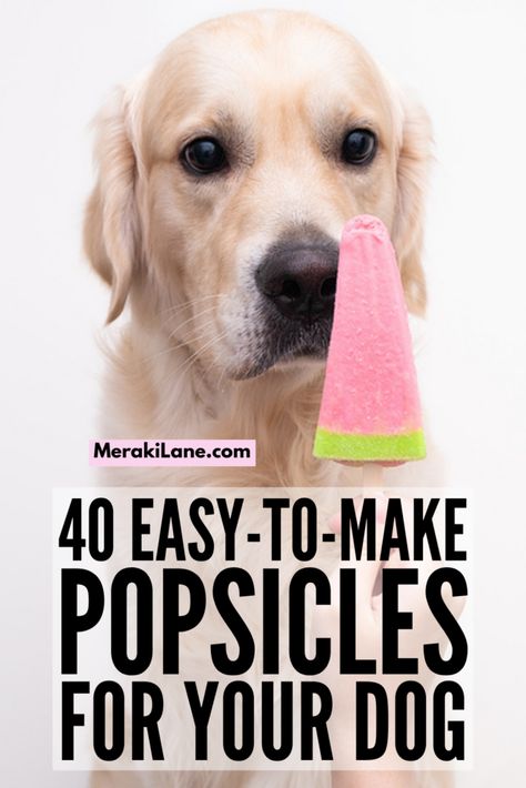 40 Easy and Healthy Homemade Dog Popsicles Your Pup Will Love Dog Friendly Popsicles, Popcicles Recipes For Dogs, Homemade Dog Popsicles, Dog Popsicles Recipe Easy, Puppy Popsicles Recipes, Pup Popsicles, Pupsicles Dogs, Woof Pupsicle Recipes, Dog Popsicles Recipe