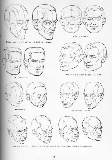 Andrew loomis drawing the head and hands | PDF Loomis Drawing, Loomis Method Head, Loomis Head, Sketching Exercises, Head References, Loomis Method, Andrew Loomis, Comic Book Drawing, Nose Drawing