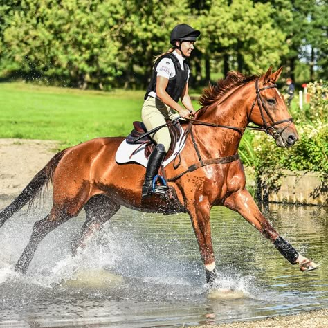 Horse Riding Cross Country, Cross Country Aesthetic Horse, Cross Country Equestrian, Cross Country Jumping, Eventing Horses Cross Country, Cross Country Horses, Cross Country Horse Riding, Horse Cross Country, Eventing Cross Country