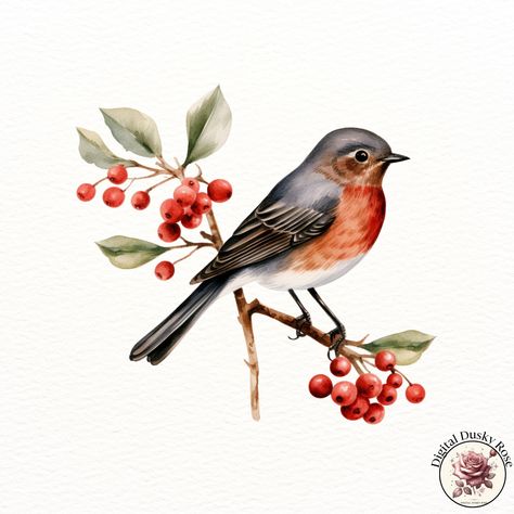 Watercolor Whimsical Winter Birds Clipart: Festive Birds on Branches with Berries for Holiday Crafts and Invitations https://digitalduskyrose.etsy.com/listing/1794530870 Add a touch of winter magic to your holiday projects with our Watercolor Whimsical Winter Birds Clipart! This beautiful collection features festive birds perched on delicate branches with berries, perfect for creating charming Christmas cards, holiday invitations, scrapbooking layouts, and cozy DIY decor. These high-resolutio... Bird Christmas, Winter Birds Drawing, Winter Birds Painting, Winter Birds Illustration, Winter Bird Watercolor, Christmas Forest Animals Illustration, Bird Clipart, Winter Bird, Christmas Bird