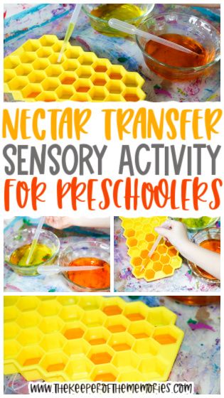 Bugs Fine Motor Activities, Insects Science Activities, Insect Week Preschool Activities, Nature Theme For Preschool, Prek Bee Craft, Kindergarten Theme Ideas, Gross Motor Insect Activities, Science And Nature Preschool, Bugs And Insects Theme Preschool