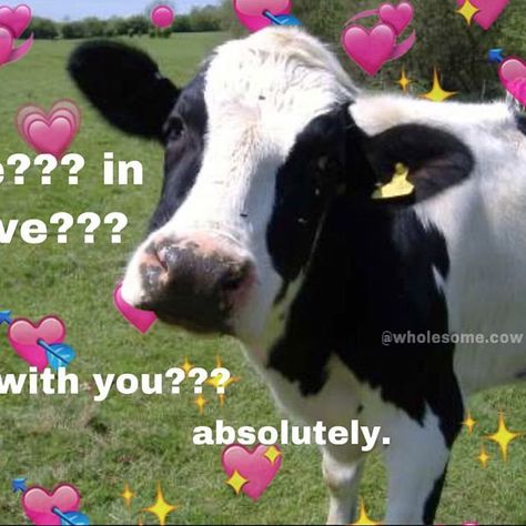 Cow Drawing, Corny Jokes, Dairy Cows, Milk Cow, Jokes For Kids, Animal Facts, Wholesome Memes, Funny Animal Pictures, Bones Funny