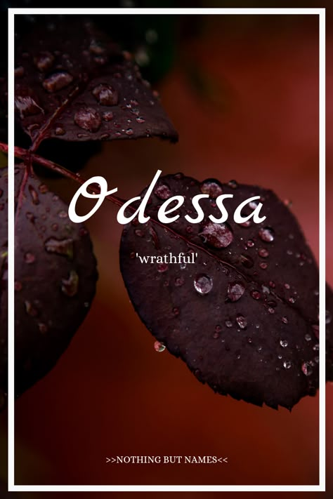 Odessa: (possibly) Greek and/or Slavic, meaning 'wrathful' Odessa Name Meaning, Odessa Name, Novel Character Names, Names Book Characters, Names For Book Characters, Dnd Names, Names For Stories, Book Character Names, Norse Names