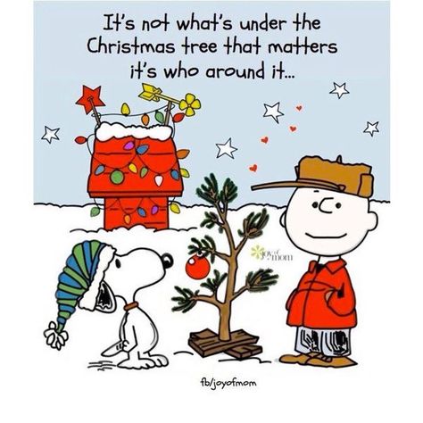 charlie brown christmas quotes Charlie Brown Quotes Christmas, Snoopy Christmas Quotes, Charlie Brown Christmas Quotes, Charlie Brown Christmas Decorations, God And Family, Christmas Decorations Diy For Kids, Crafts Quotes, Charlie Brown Quotes, Best Christmas Quotes