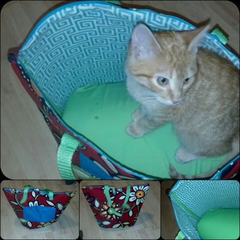 My very own homemade cat carrier! Pet Carrier Diy, Pete The Cat Costume, Pallet Deck Diy, Cat Costume Diy, Cat Carrier Bag, Homemade Cat, Dog Backpack, Easter Basket Diy, Creative Valentines