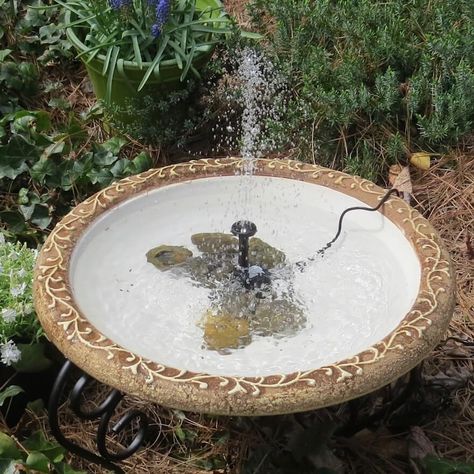 Diy bird bath