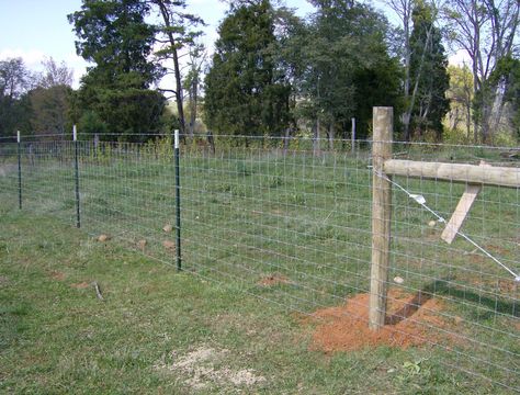 Goat Fencing - around rest or property High Tensile Fence, Black Chain Link Fence, Hog Wire Fence, Goat Fence, Livestock Fence, Field Fence, Welded Wire Fence, Ranch Fencing, Barbed Wire Fencing