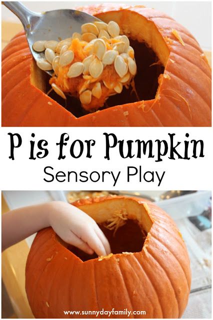 Pumpkin sensory play! Exploring pumpkins inside and out is an amazing sensory experience for toddlers & preschoolers. P Is For Pumpkin, Pumpkin Sensory, Pumpkin Lesson Plans, Pumpkin Lessons, Kids Sensory Activities, Pumpkin Science, Fall Sensory, Activity For Preschoolers, Preschool Fall