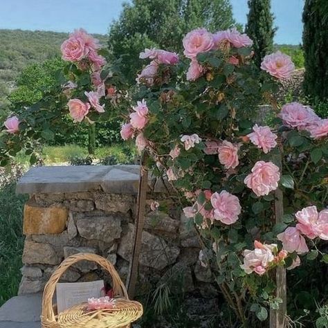 Once Upon A Broken, Flower Therapy, Spring Aesthetic, Cottagecore Aesthetic, Spring Vibes, Nature Aesthetic, Love Flowers, Aesthetic Photo, Pink Aesthetic