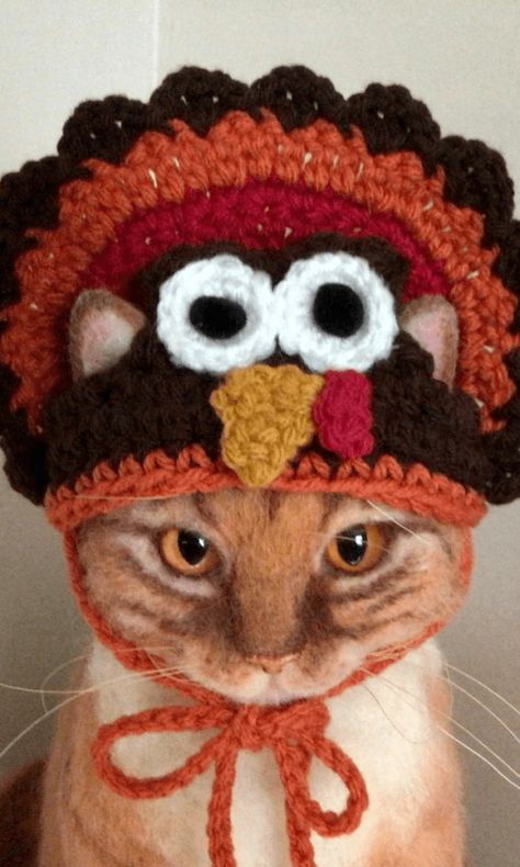 How adorable are these crochet cat hat patterns? #crochet #crochet365knittoo #crochetpattern #crochetcathat #crochetcathatpattern #crochethatpattern #crochetcat #crochethat Crochet Turkey, Thanksgiving Pattern, Cat Hat Pattern, Cat Santa Hat, Santa Hat Pattern, Turkey Hat, Crochet Cat Hat, Funky Hats, Hat Crochet Pattern