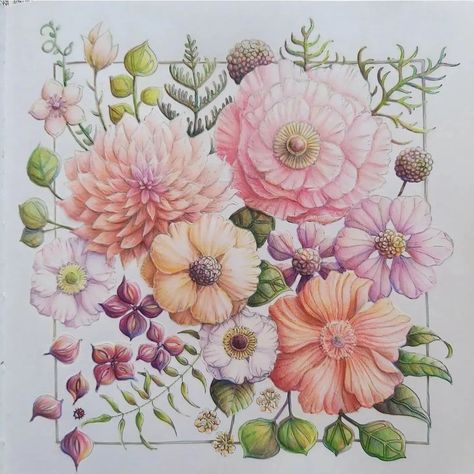 Coloured Pencil Techniques, Joanna Basford Coloring, World Of Flowers, Joanna Basford, Prismacolor Art, Illustrator Inspiration, Johanna Basford Coloring Book, Johanna Basford Coloring, Basford Coloring