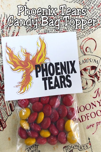 Harry Potter Candy Printables, Easy Harry Potter Party Ideas, Harry Potter Candy Ideas, Harry Potter Goodie Bags, Harry Potter Candy Table, Chamber Of Secrets Party, Decoracion Harry Potter, Phoenix Party, Harry Potter Display