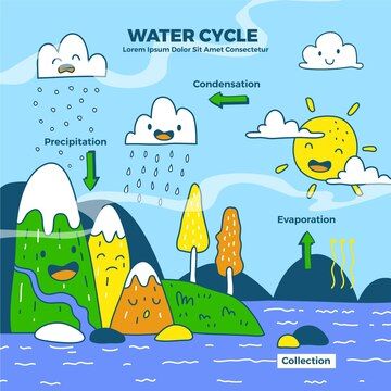 Free Vector | Free vector hand drawn water cycle Water Cycle Anchor Chart, Water Cycle For Kids, Earth Day Drawing, Elementary School Science, Water Facts, Water Day, Water Cycle, Facts For Kids, Drawings For Kids