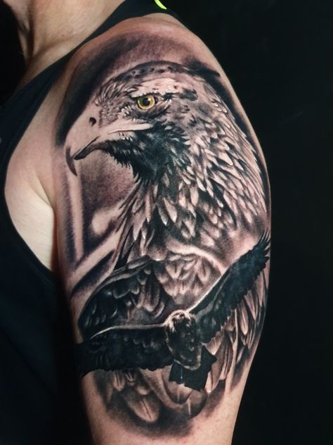 Wedgetail eagle Wedgetail Eagle Tattoo, Wedge Tailed Eagle Tattoo, Wedgetail Eagle, Bald Eagle Tattoos, Harry Tattoos, Wedge Tailed Eagle, Hawk Tattoo, Eagle Pictures, Eagle Tattoos