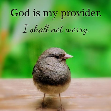 God is my provider I shall not worry... God Is My Provider, Making Decisions, God Will Provide, Jesus Christus, Inspirational Prayers, Faith Inspiration, Christian Quotes Inspirational, God Jesus, Spiritual Inspiration