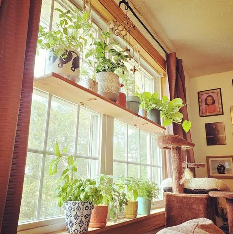 Window Plant Shelf Hanging Plant Shelf Herb Shelf Suspended | Etsy Bay Window Plants, Window Sill Herb Garden, Herb Shelf, Wood Plant Shelf, Suspended Shelf, Window Sill Plants, Shelf Pallet, Window Shelf For Plants, Shelf For Plants