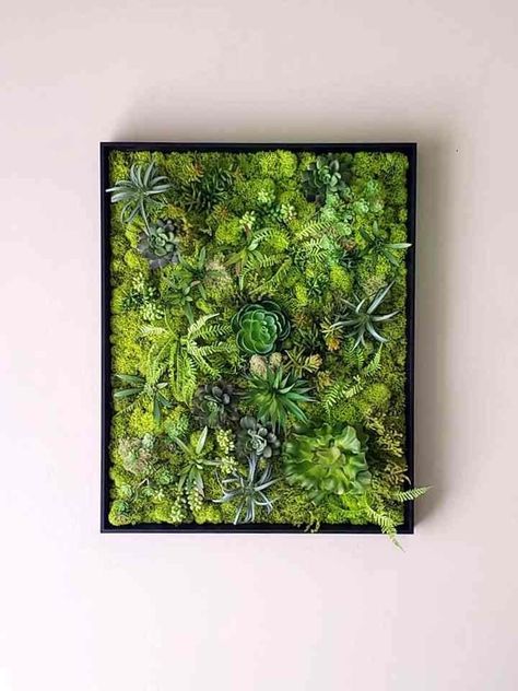 Handmade Faux succulent moss wall art, Handmade Preserved Moss Wall Picture, Moss picture Black frame, Vertical&Horizontal Frame Upgrade our home ... Preserved Moss Wall, Horizontal Frame, Moss Decor, Living Wall Art, Succulent Wall Art, Chartreuse Color, Plant Wall Decor, Moss Wall Art, Succulent Wall