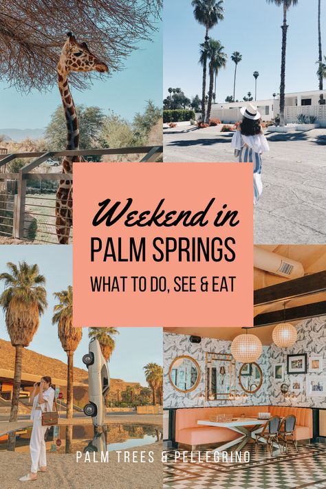 California Cool Fashion, Things To Do In Palm Desert California, Palm Springs Before The Rings Bachelorette Weekend, Palm Springs Weekend Getaway, Where To Eat In Palm Springs, Palm Springs Travel Guide, Palm Springs California Things To Do In, Things To Do In Palm Springs California, Palm Springs Things To Do