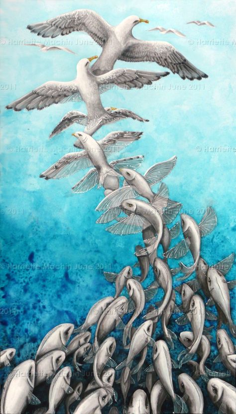 By Harriette Machin_Birds & Fish metamorphosis painting_Exploration and Discovery_Evolution_A Level Exam Metamorphism Art, Metamorphosis Art Ideas, Metamorphosis Of Birds, Metamorphosis Painting, Spiritual Metamorphosis, Incomplete Metamorphosis, Butterfly Metamorphosis Illustration, Metamorphosis Art, Escher Art