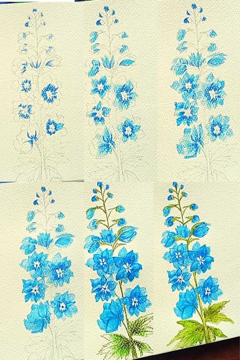 Delphinium Flower Illustration, Delphinium Painting Acrylic, Painting Delphiniums, Delphinium Flower Drawing, Delphinium Painting, Aesthetic Doodles, Delphinium Flower, Delphinium Flowers, Paint Tutorial