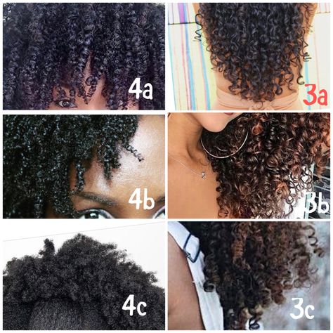 Curly hair texture, curly hair chart, 4c, 3a, 2a Black Hair Texture Chart, Natural Hair Texture Chart, Type Hair Chart, Levels Of Curly Hair, Curl Texture Chart, 4c Hair Chart, Curly Hair Texture Chart, 4 B Hair Texture, Hair Chart Type