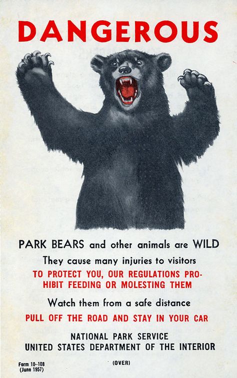 photo Dont Feed The Bears, Bear Poster, Smokey The Bear, Bear Artwork, Vintage Hunting, First World Problems, Brown Bears, Dangerous Animals, Damaged Goods