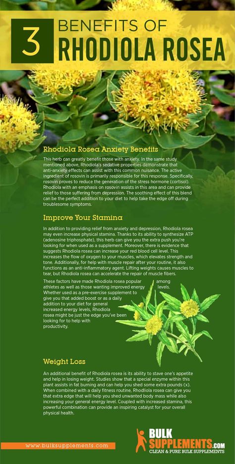 Rhodiola Rosea Benefits, Rhodiola Benefits, Healthy Practices, Indoor Herb, Rhodiola Rosea, Naturopathic Medicine, Fatigue Syndrome, Healing Plants, Herbal Healing