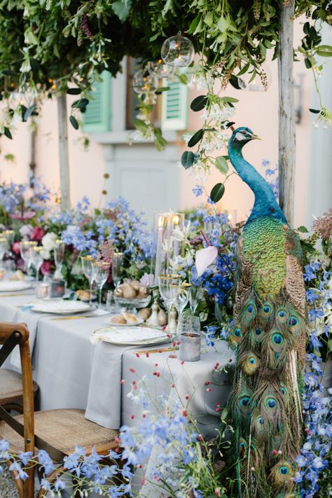 How A Circus-Themed Destination Wedding in Italy Was Pulled Off - Over The Moon Peacock Wedding Decorations, Circus Wedding, Peacock Wedding Theme, Peacock Theme, Peacock Decor, Pre Wedding Party, Peacock Wedding, Table Top Design, Wedding Top