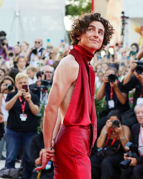 Timothée Chalamet Updates on Twitter: "Timothée Chalamet at the premiere of #BonesAndAll in Venice tonight ❤️ https://t.co/VF2KWrcuyj" / Twitter Timothee Chalamet Red Carpet, Paul Atreides, Loving Him Was Red, Timmy T, Red Carpet Look, Venice Film Festival, Haider Ackermann, Backless Top, Teen Vogue