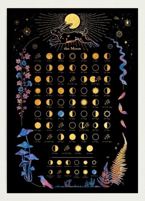 Witchy Calendar 2023, Lunar Calendar 2023, Moon Phase Chart, Moon Phases Calendar, Moon Chart, Forest Illustrations, Colorful Mushrooms, W.i.t.c.h Art, Magical Moon