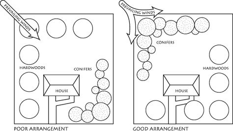plant trees for wind break Trees For Wind Break, Wind Break Landscaping, Wind Blocking Landscaping, Windbreak Planting, Perimeter Trees, Garden Wind Break Ideas, Wind Break Garden, Windbreak Trees, Acreage Landscaping