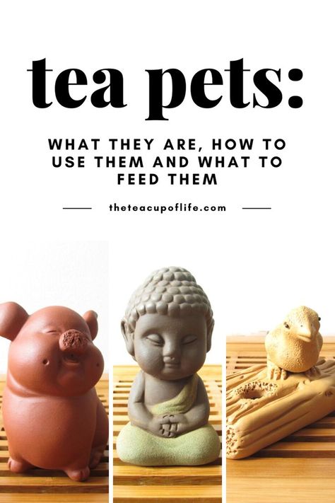 Diy Tea Table, Tea Shop Ideas, Fun Ceramic Projects, Tea Shop Aesthetic, Tea Time Aesthetic, Tea Knowledge, Asian Tea Sets, Gym Fails, Tea For One Set