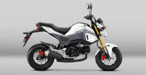 16 Best Small Motorcycles for City Commuting Grom Motorcycle, Honda Grom 125, Beginner Motorcycle, Honda Msx 125, 125 Motorcycle, Small Motorcycles, Honda Grom, Motos Honda, Sport Bike