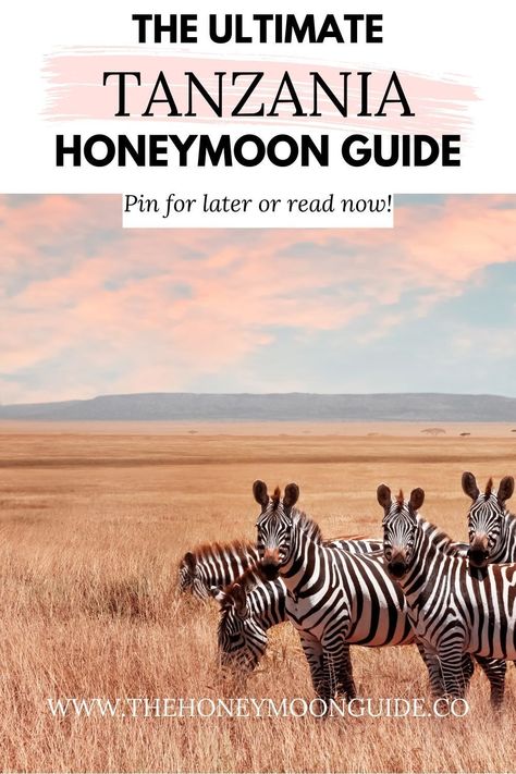 Your Tanzania honeymoon planning starts here for a dream Africa honeymoon! Discover everything from romantic Zanzibar honeymoon spots to a safari honeymoon adventure in the Serengeti and beyond! Including the best time to visit Tanzania, how to get there and how to get around and must-visit places and things to do in Tanzania + MORE!  🦁 🦒 🐘 🦓 🦩  ✈️ 🤍 Click to read now or pin for later 🤍 ✈️  Happy Honeymoon and Wedding Planning!! 🥰 Tanzania Honeymoon, Zanzibar Honeymoon, Happy Honeymoon, Safari Honeymoon, South Africa Honeymoon, Honeymoon Adventure, Honeymoon Packing List, Africa Honeymoon, Honeymoon Packing