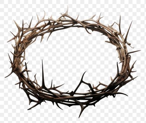 Crown Thorns, Thorn Crown, Crown Of Thorns Plant, Wire Crown, Crown Png, Crown Of Thorns, Water Colors, White Background, Wreath